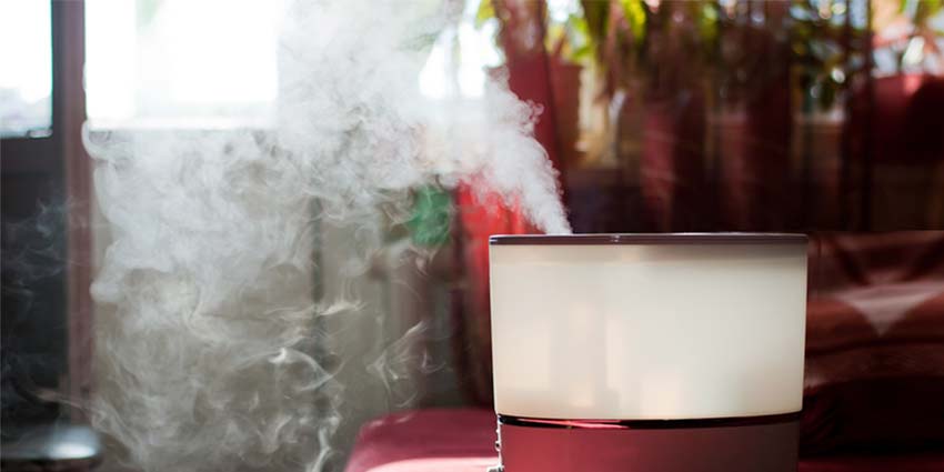 KELOPA--Help Improve Air Quality & Healthy