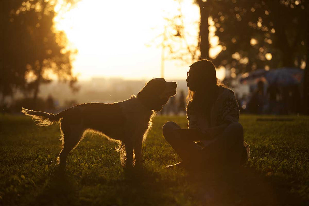 How Your Pet Can Change Your Life