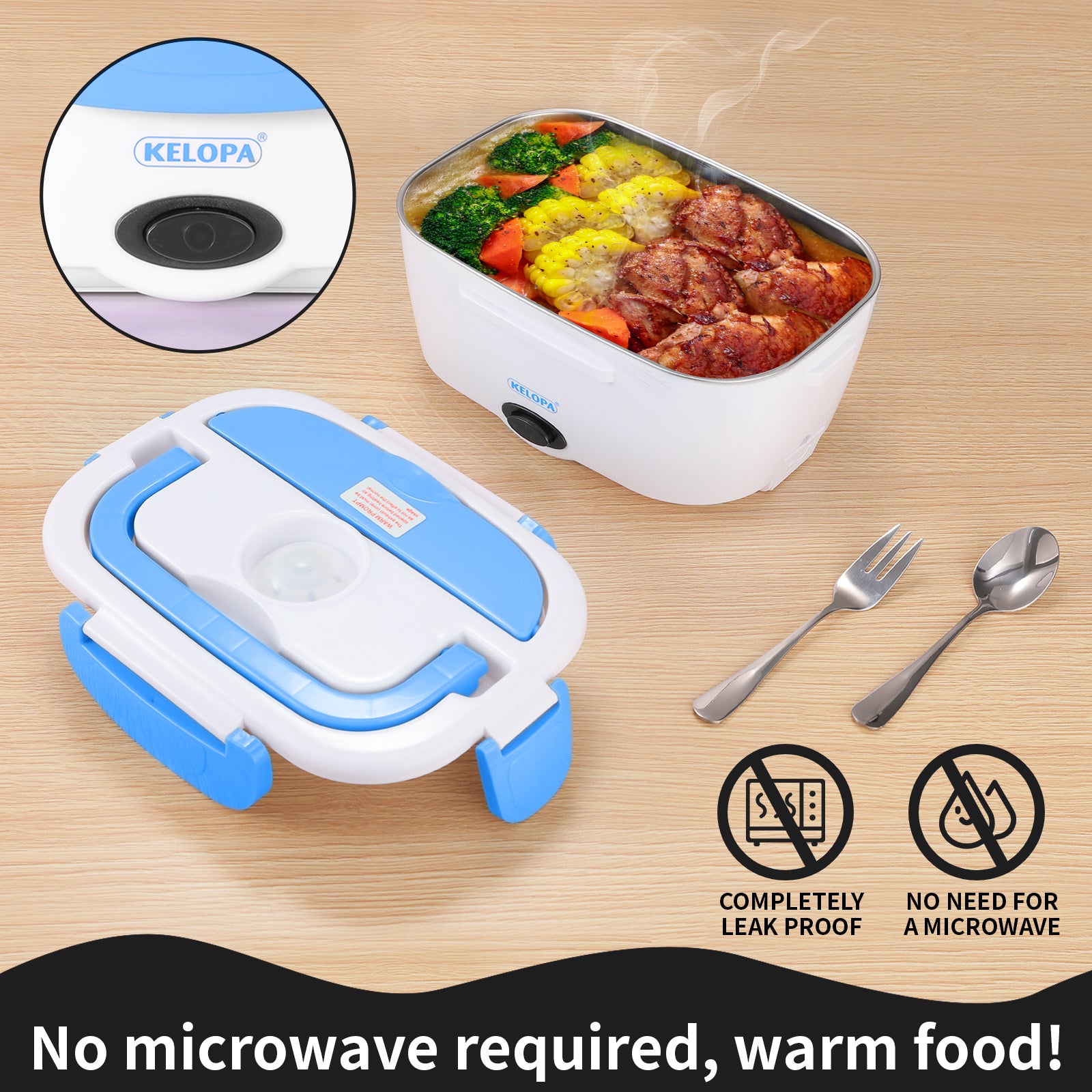Electric Lunch Box Food Warmer Portable Food Heater for Car Home Proof  Lunch
